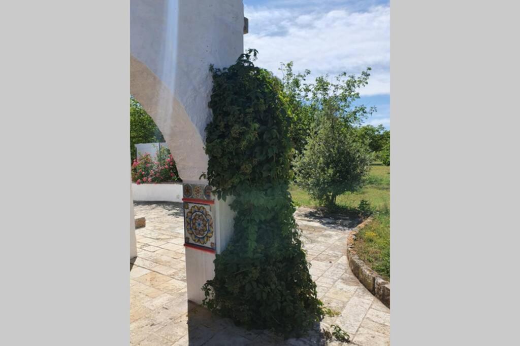 فيلا Trulli Relax A مارتينا فرانكا المظهر الخارجي الصورة